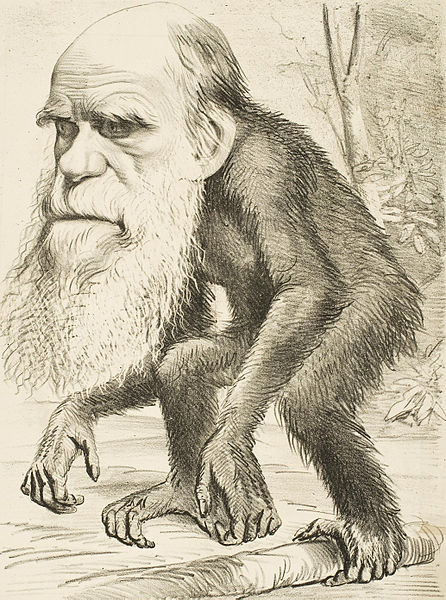 1871 satirical image depicting Charles Darwin as an ape.